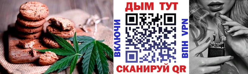 Купить закладки  Рудня  Canna-Cookies марихуана 