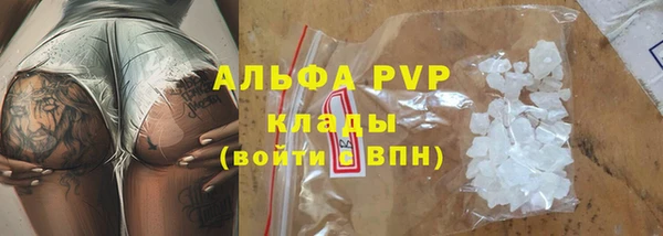 гидра Инта
