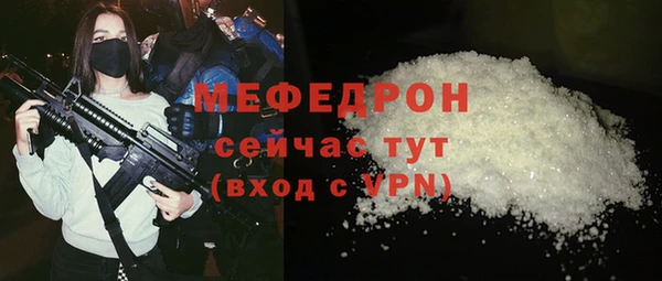 гидра Инта