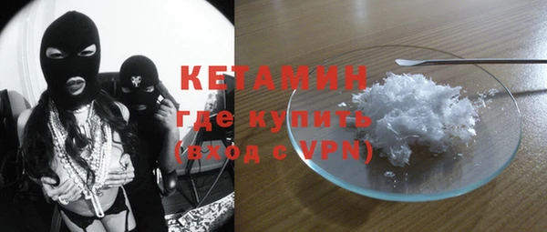 гидра Инта