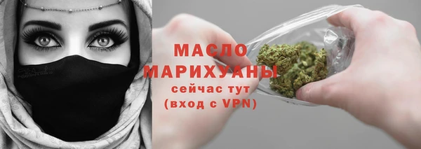 гидра Инта