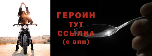 гидра Инта