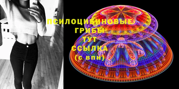 гидра Инта