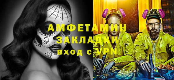 гидра Инта