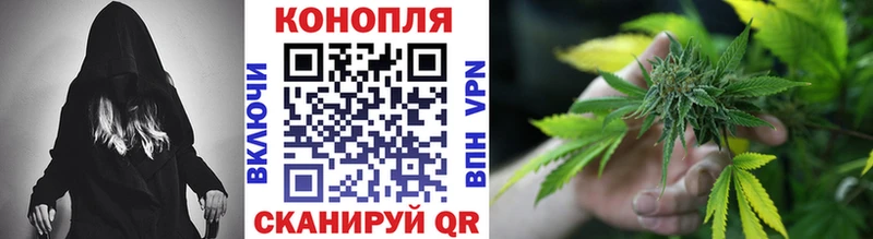 Купить  Рудня  Каннабис SATIVA & INDICA 